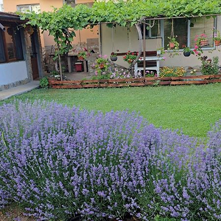 Guest House Sunrise Shabla Dış mekan fotoğraf