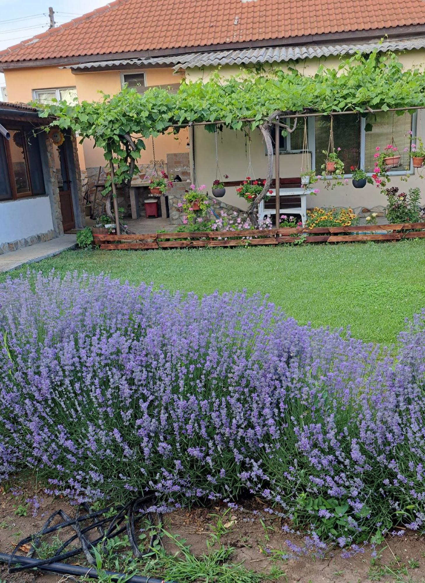 Guest House Sunrise Shabla Dış mekan fotoğraf
